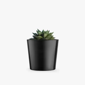 product-image-3_optimized Augue Neque