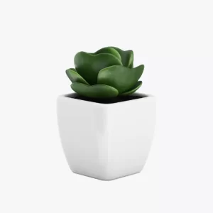 product-image-9_optimized Sollicitudin Aliquam